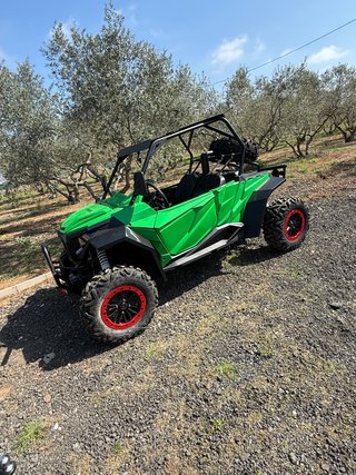 Buggy Araneus ZQ800 2 Plazas - NUEVO -