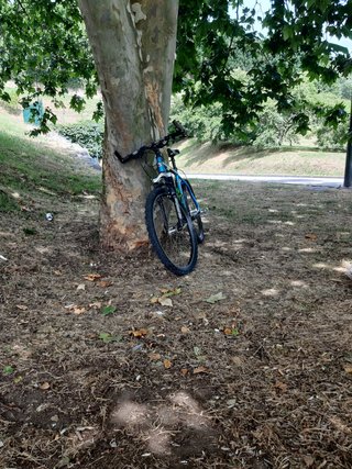 Bici.marka.BH bikes