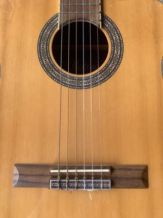 Guitarra Hofma YE-225
