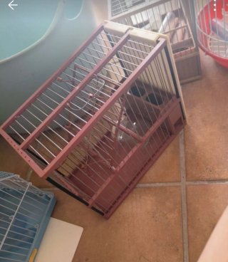 Jaula para pájaros de madera y metal