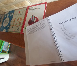 Lote 4 cuadernos repaso verano 6o Primaria lengua