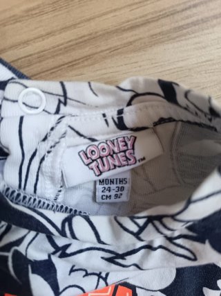 Conjunto infantil Looney Tunes