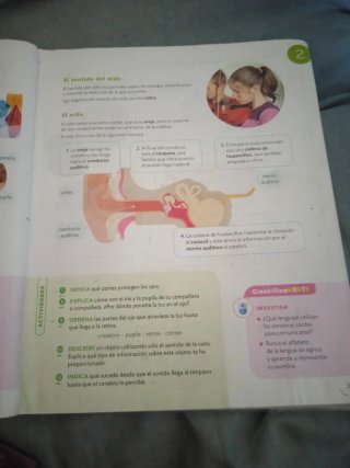 CIENCIAS DE LA NATURALEZA 5 PRIMARIA CONSTRUYEN...