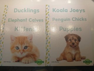 Libros en ingles para niños