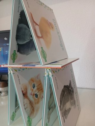 Libros en ingles para niños