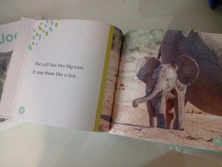Libros en ingles para niños