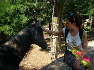 Cuido y paseo perros en Rubí - Sant Cugat