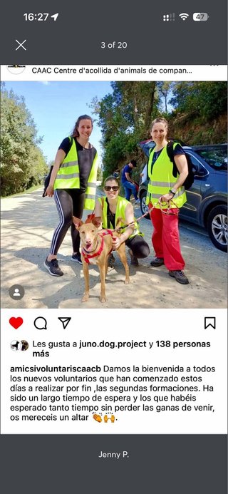 Cuido y paseo perros en Rubí - Sant Cugat