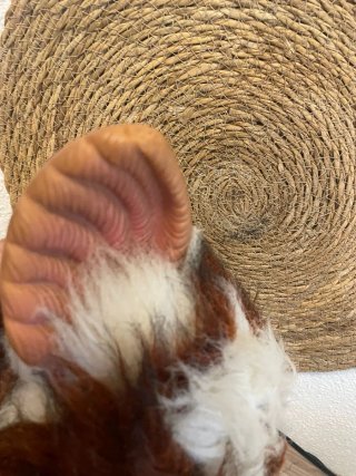 Muñeco Gremlins Gizmo Peluche