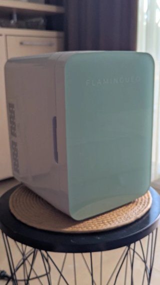 Mini nevera portátil Flamingueo 10L (Verde Pastel)