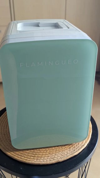 Mini nevera portátil Flamingueo 10L (Verde Pastel)
