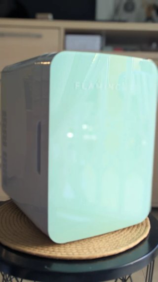 Mini nevera portátil Flamingueo 10L (Verde Pastel)