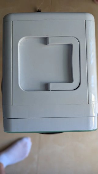 Mini nevera portátil Flamingueo 10L (Verde Pastel)