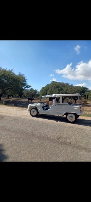 Citroen mehari  mehari  1977