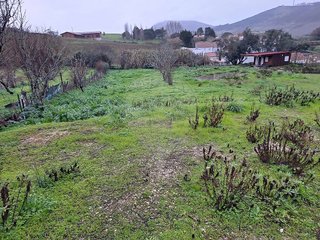 Terreno à venda em Torres Vedras