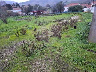 Terreno à venda em Torres Vedras