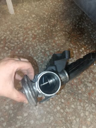 Colector Admisión BMW E46
