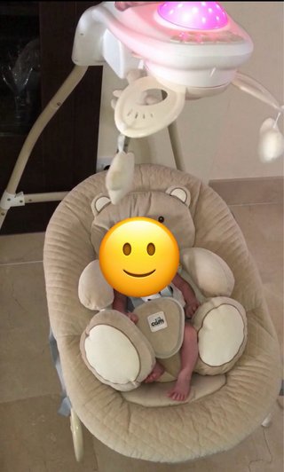 Hamaca Columpio Cam Gironanna Evo