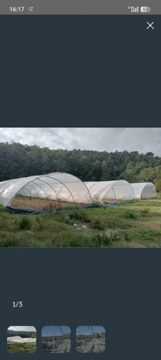900 m2 de Invernaderos