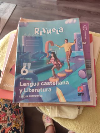 Se venden libros de 6° de primaria en buen estado