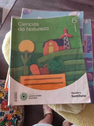 Se venden libros de 6° de primaria en buen estado