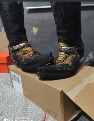 Botas Sandra Piel Serpiente y Cadena