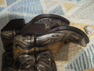 Botas Sandra Piel Serpiente y Cadena