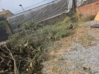 Regalo: Troncos y ramas de madera