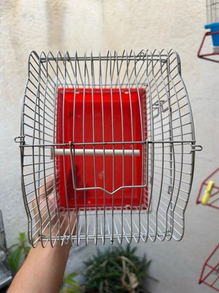 Jaula para pájaros con suelo rojo