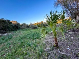 Terreno en venta en Capdepera en Capdepera