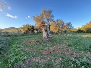 Terreno en venta en Capdepera en Capdepera