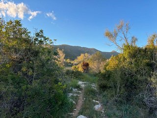 Terreno en venta en Capdepera en Capdepera