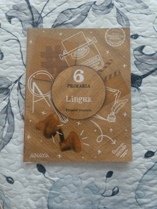 Lingua, 6 Primaria, Operación mundo
