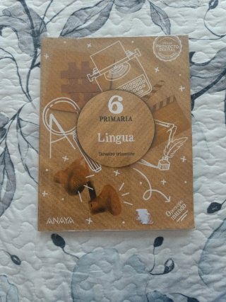 Lingua, 6 Primaria, Operación mundo
