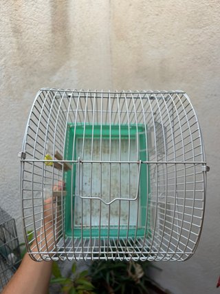 Jaula para pájaros verde y blanca