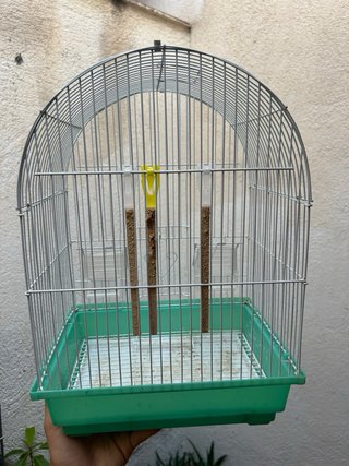 Jaula para pájaros verde y blanca