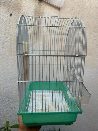 Jaula para pájaros verde y blanca