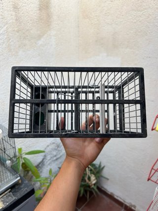 Jaula para pájaros negra y verde