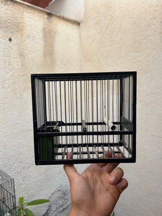 Jaula para pájaros negra y verde