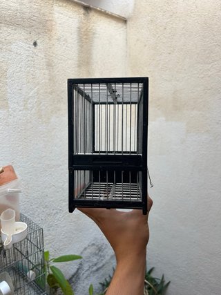 Jaula para pájaros negra y verde