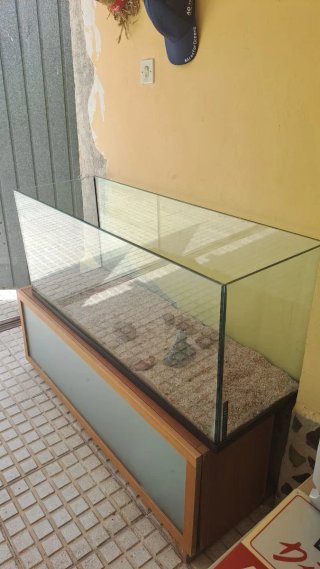 Acuario o terrario grande