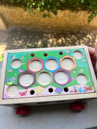Juguete Montessori Coche Pesca