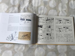 Tintin. Las tribulaciones de Tintin en el Congo