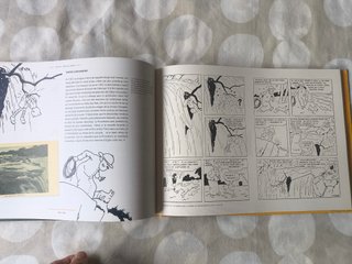 Tintin. Las tribulaciones de Tintin en el Congo