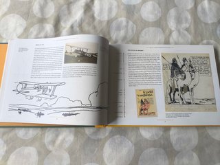 Tintin. Las tribulaciones de Tintin en el Congo