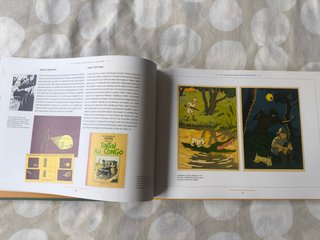 Tintin. Las tribulaciones de Tintin en el Congo