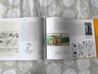 Tintin. Las tribulaciones de Tintin en el Congo