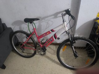 Bicicleta de montaña Alien Y