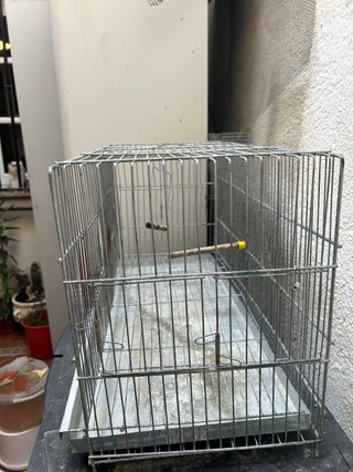 Jaula para pájaros metálica