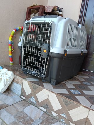 Transportín perro casi nuevo
